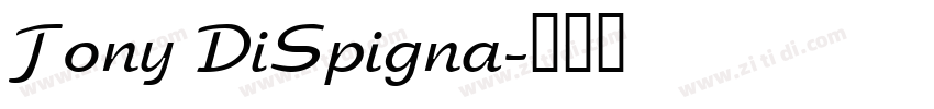 Tony DiSpigna字体转换